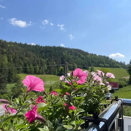 7 Tatra Glamp - Sieć Noclegowa Tatra Glamp Apartament *